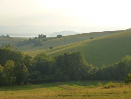 Foto by: Laugh. Copy not allowed !